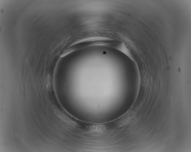 X0000078310077200611101238