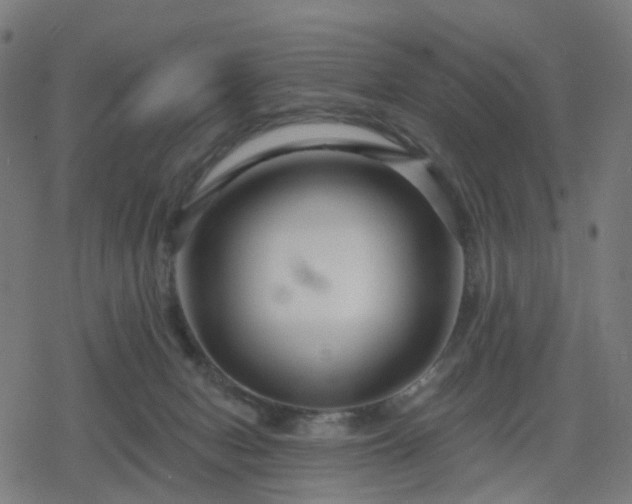 X0000078310078200611101238