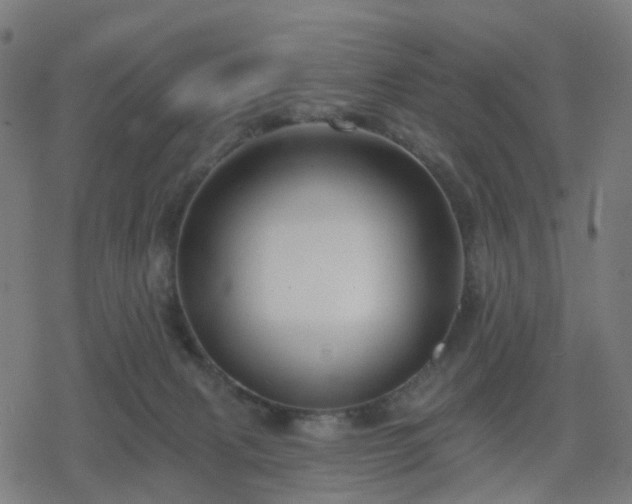 X0000078310079200611101238