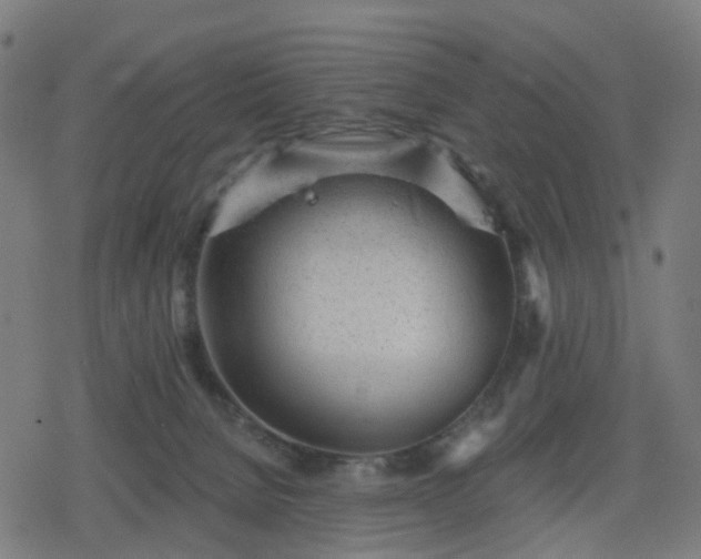 X0000078310080200611101238