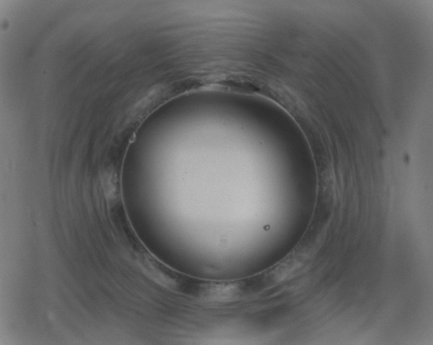 X0000078310081200611101238