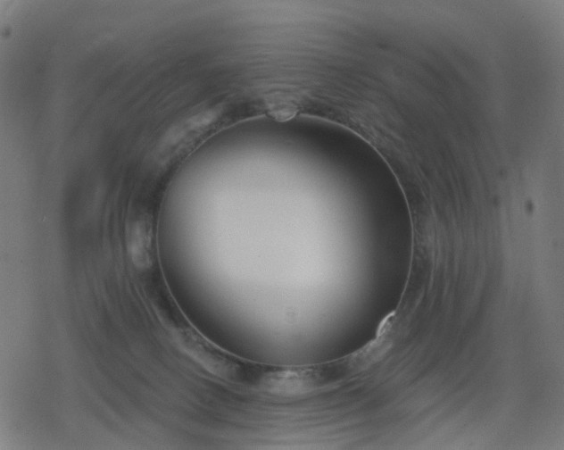 X0000078310082200611101238