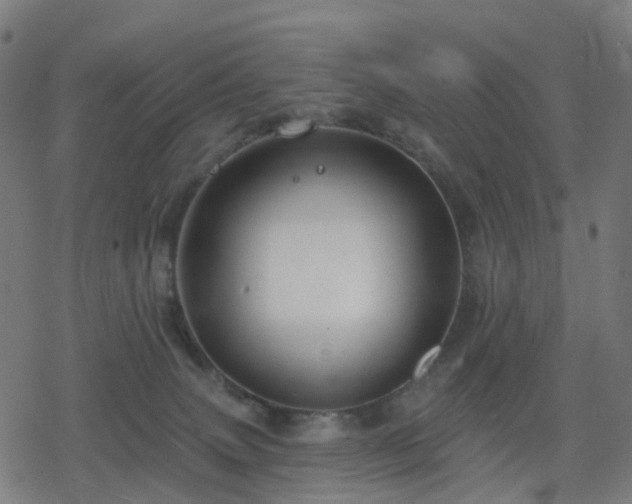 X0000078310083200611101238