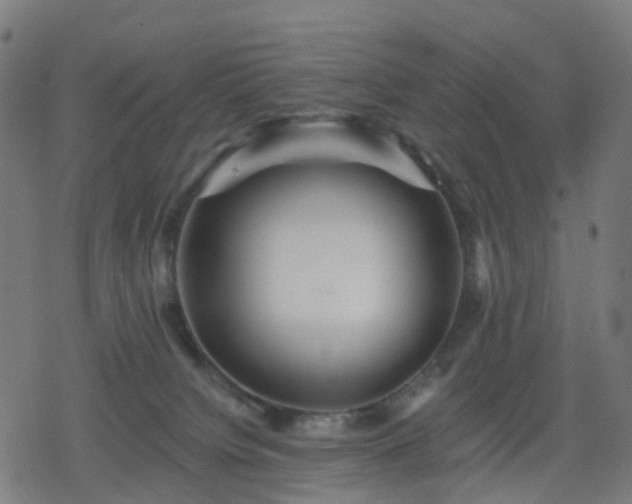 X0000078310084200611101238