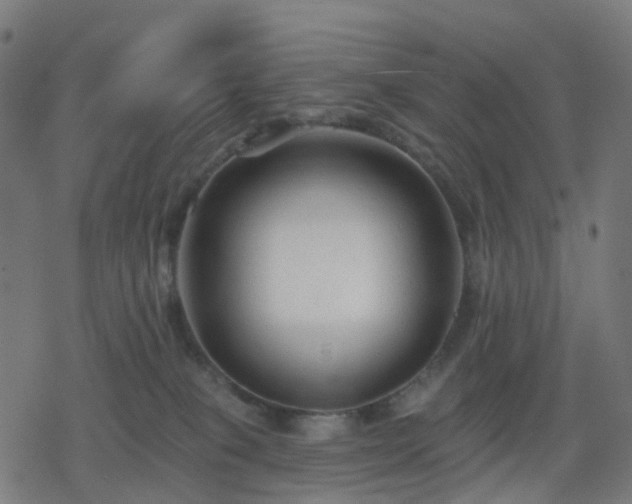 X0000078310085200611101238