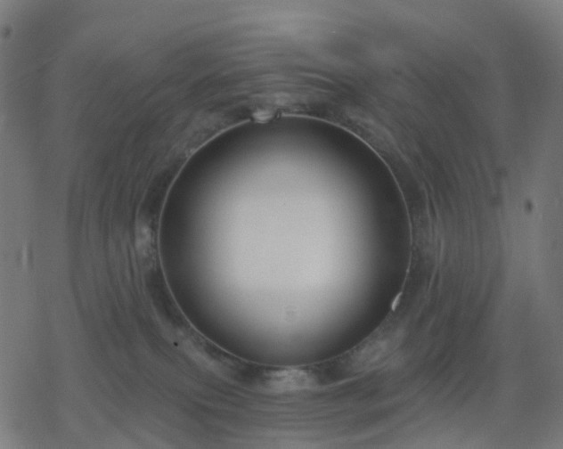 X0000078310087200611101238