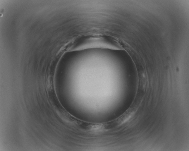 X0000078310088200611101238