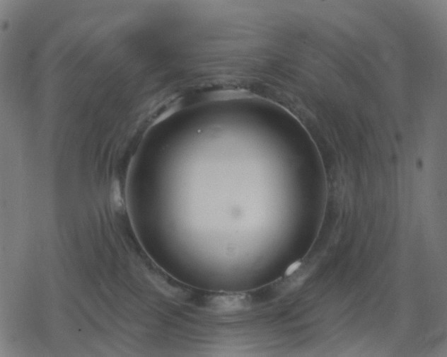 X0000078310089200611101238