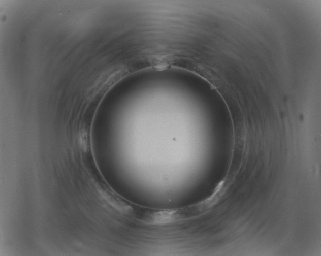 X0000078310090200611101238