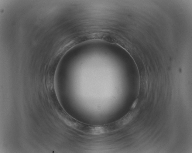 X0000078310091200611101238