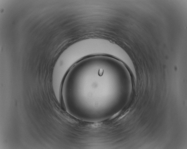 X0000078310092200611101238