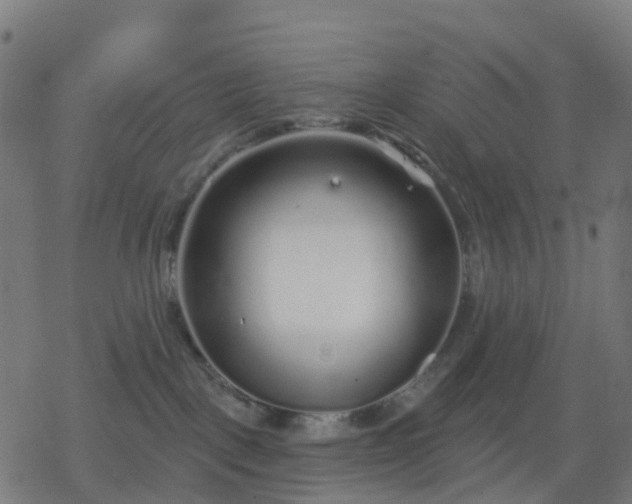 X0000078310093200611101238