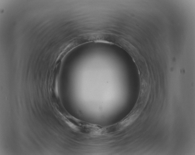 X0000078310096200611101238