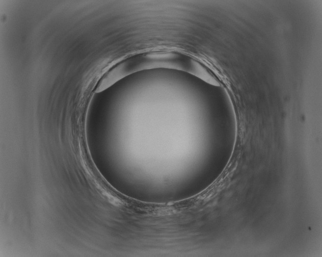 X0000078310097200611101238