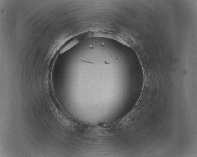 X0000078310098200611101238