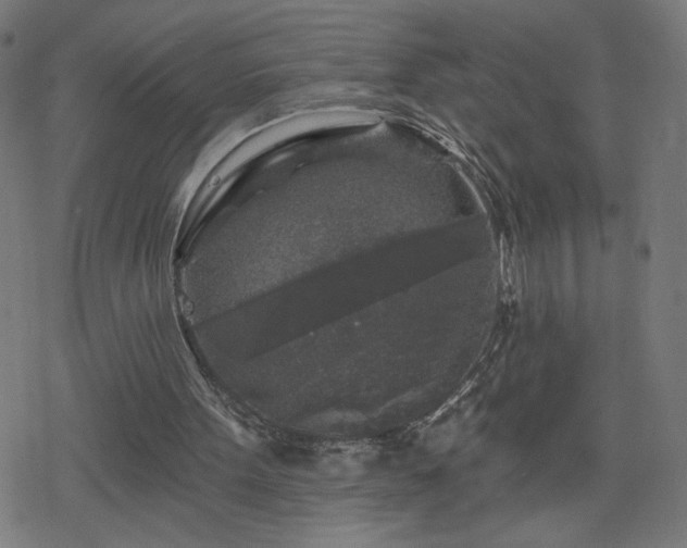 X0000078310099200611101238