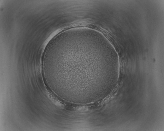 X0000078310100200611101238