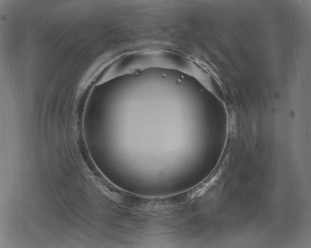 X0000078310101200611101238