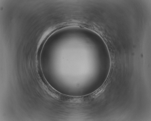 X0000078310102200611101238