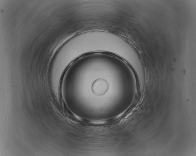 X0000078310146200611101236