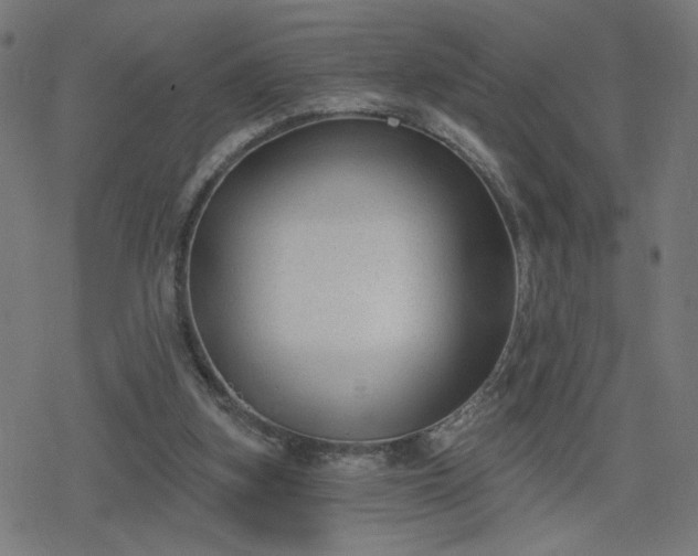 X0000078310155200611101236