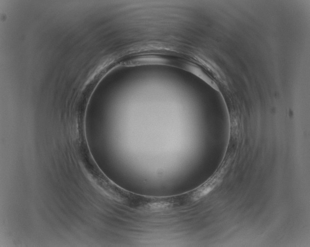 X0000078310158200611101236