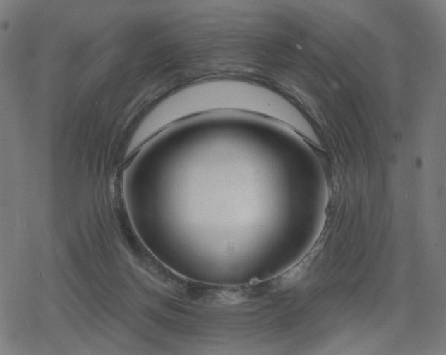 X0000078310166200611101236