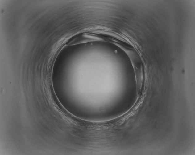 X0000078310193200611101236