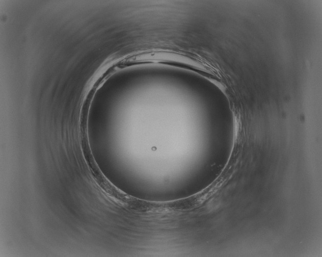 X0000078310195200611101236