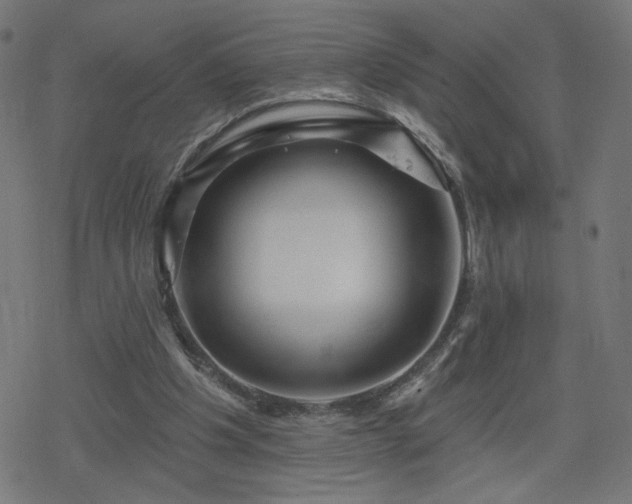 X0000078310201200611101236