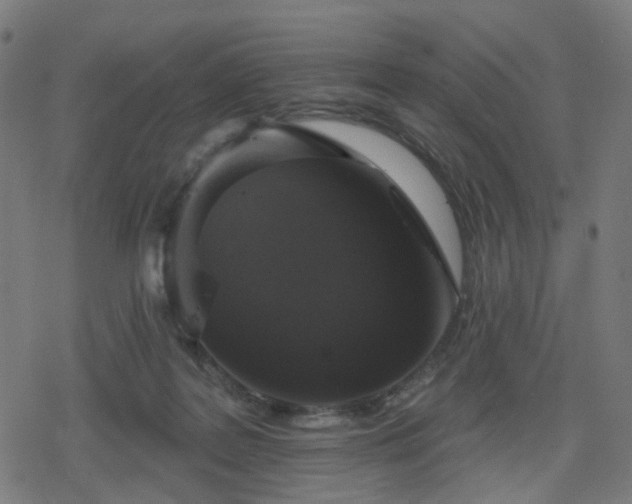 X0000078310219200611101236
