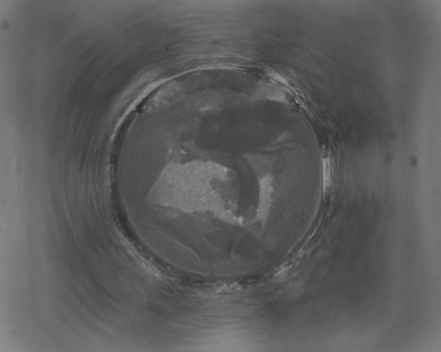 X0000078310243200611101235