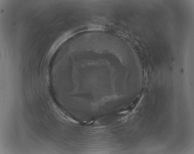 X0000078310247200611101235