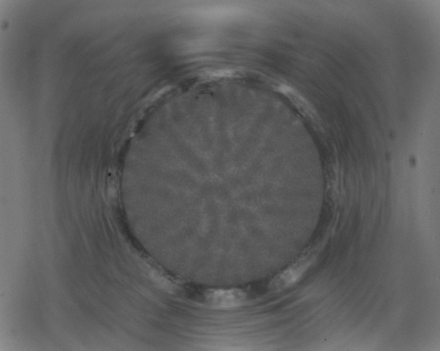 X0000078310277200611101235