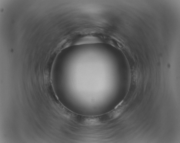 X0000078310283200611101235