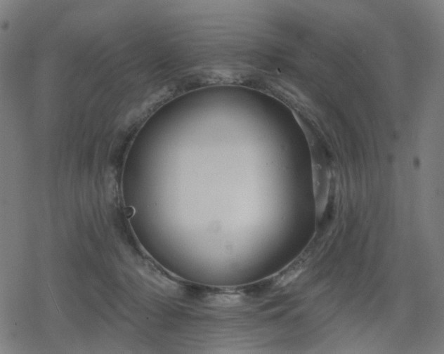 X0000078310318200611101234