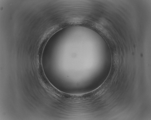 X0000078310494200611101231