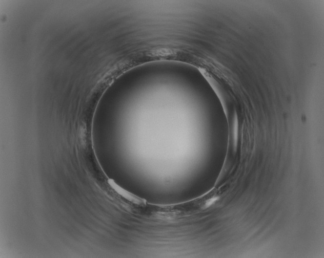 X0000078310556200611101230