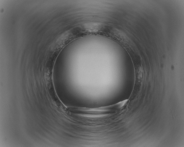 X0000078310559200611101230