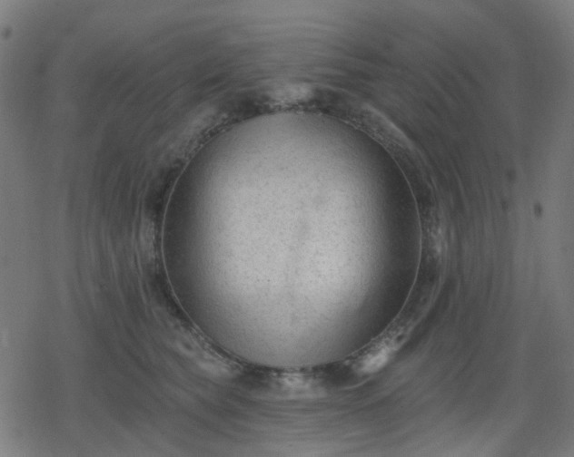 X0000078310565200611101230