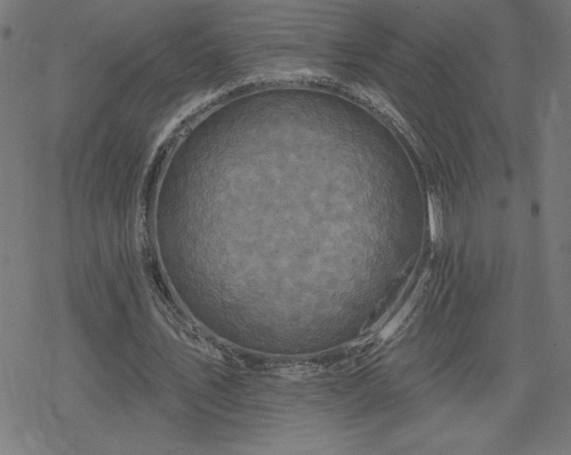 X0000078310579200611101230