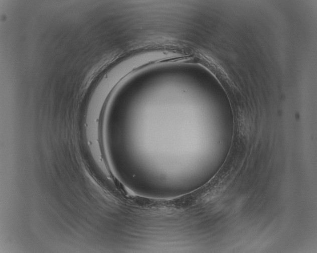 X0000078310586200611101230