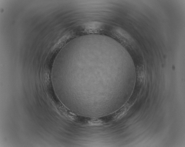 X0000078310603200611101229