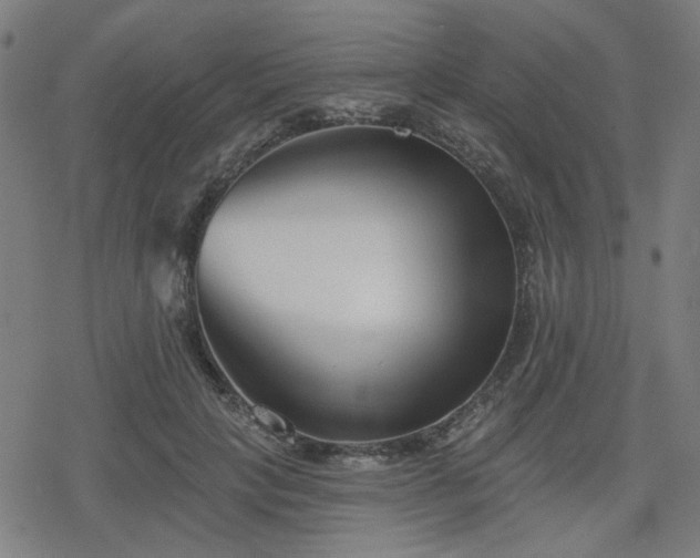 X0000078310649200611101229