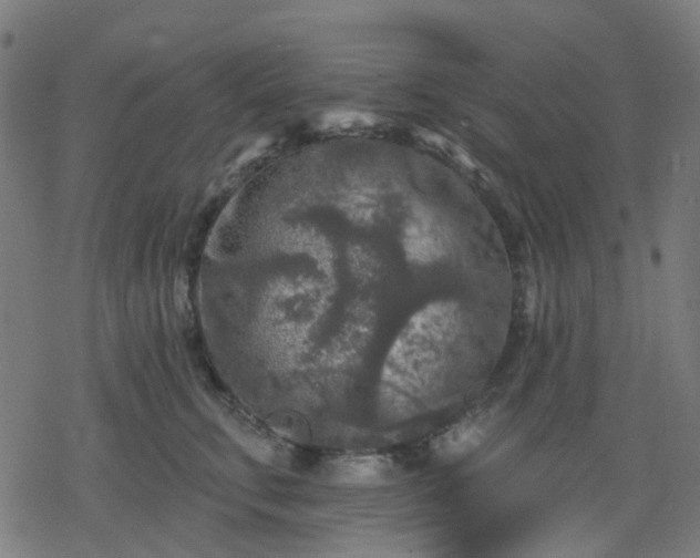 X0000078310711200611101228