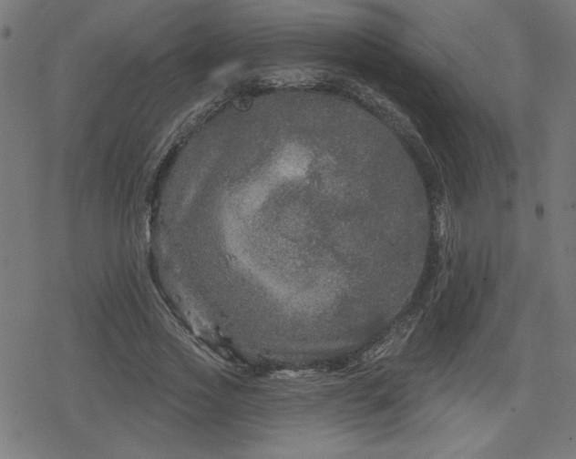 X0000078310733200611101227