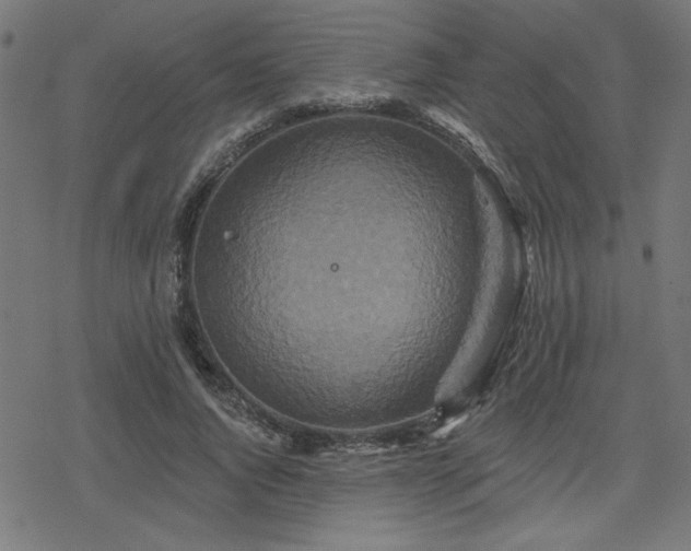 X0000078310736200611101227