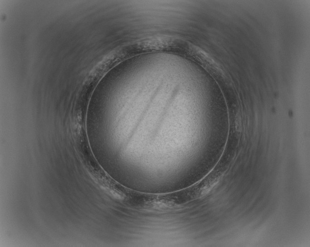 X0000078310737200611101227