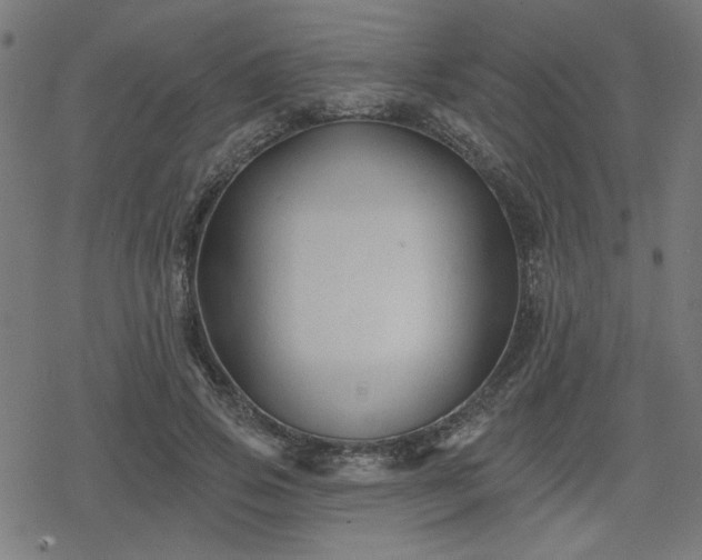 X0000078310741200611101227