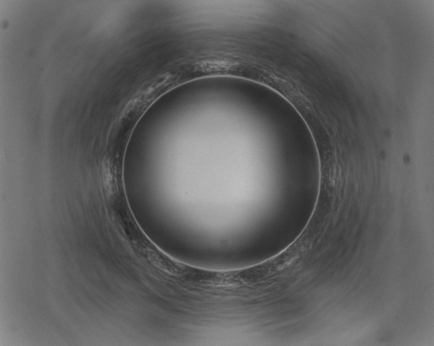 X0000078310743200611101227